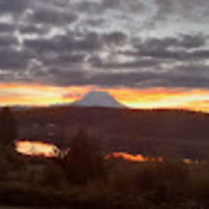 Meet your Posher, Yvonne